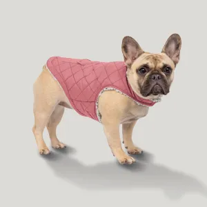 Stratus Lite Reversible Dog Jacket